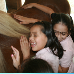 horse photo snipped