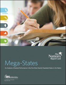 mega-states-report-cover