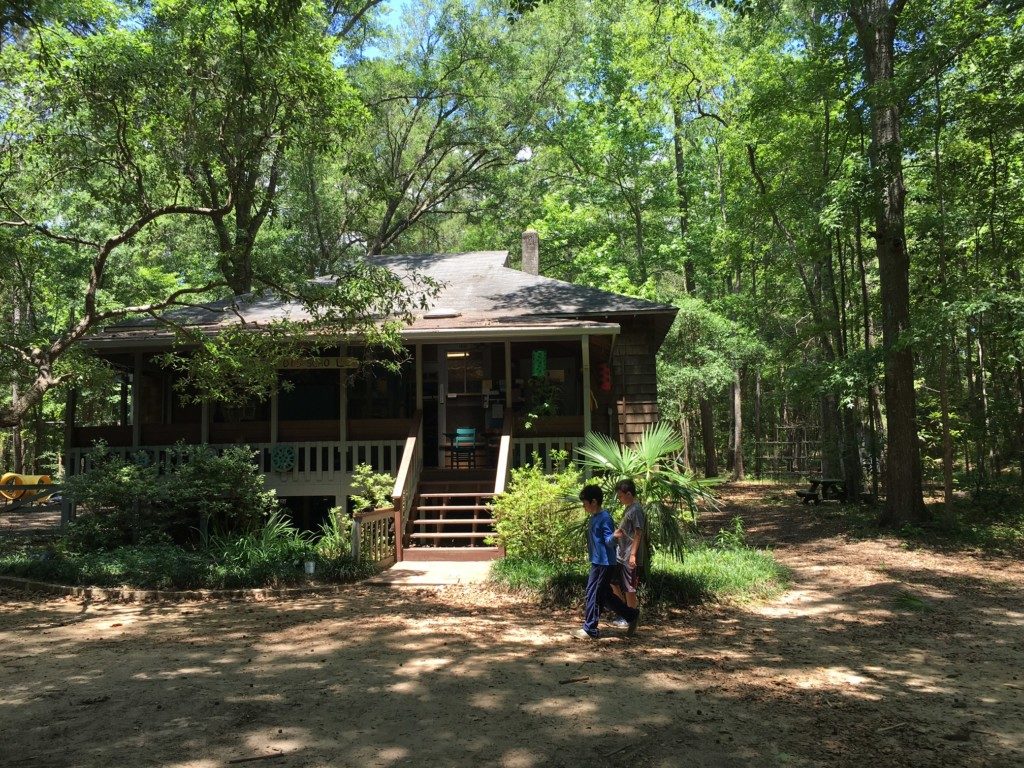 Grassroots Free School offers traditional classes in core subjects, but attendance is not mandatory. The school allows students to direct their own learning. It also accepts tax credit scholarships for low-income students.