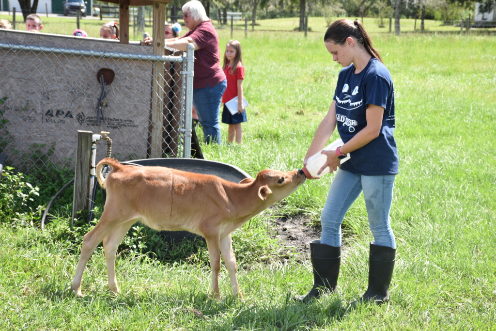 Academy at the Farm